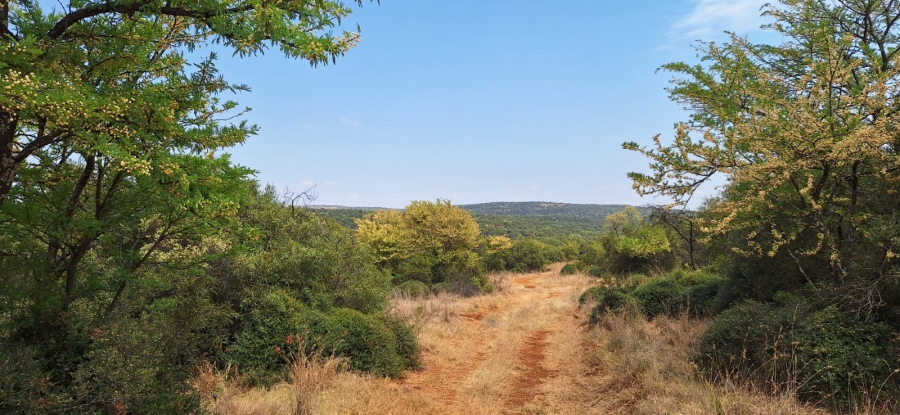 10 Bedroom Property for Sale in Swartruggens North West